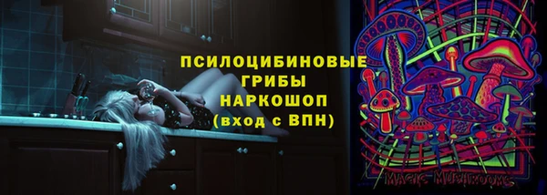 эйфоретик Щёлкино