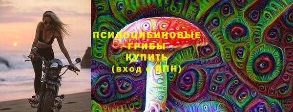 spice Щучье