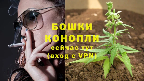 spice Щучье